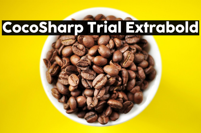 CocoSharp Trial Extrabold Example 1