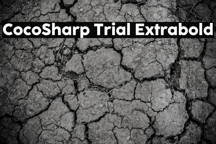 CocoSharp Trial Extrabold Example 2