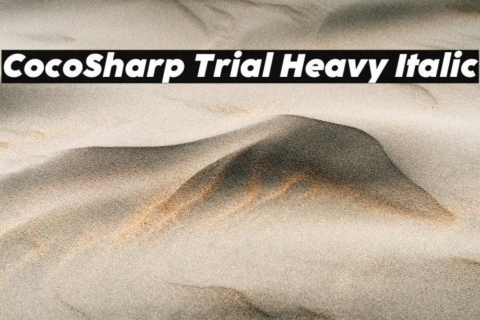CocoSharp Trial Heavy Italic Example 2