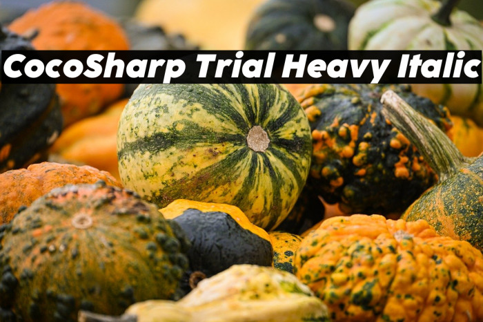 CocoSharp Trial Heavy Italic Example 3