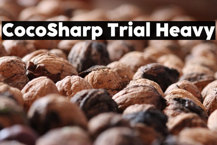 CocoSharp Trial Heavy Example 1