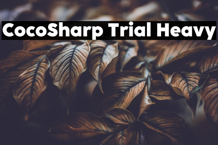 CocoSharp Trial Heavy Example 2
