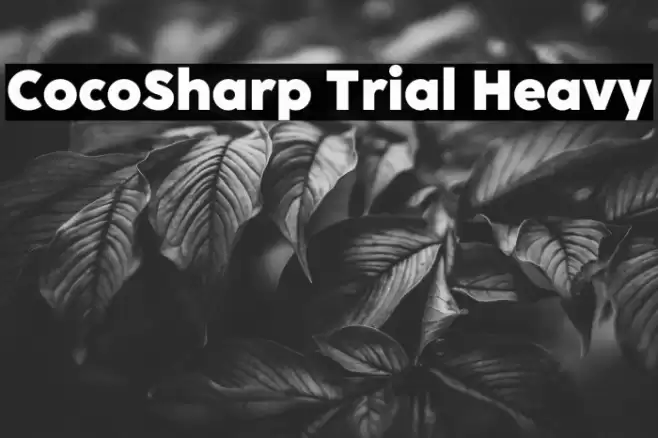 CocoSharp Trial Heavy Font examples