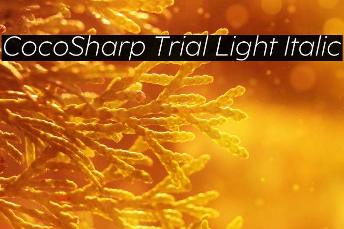 CocoSharp Trial Light Italic Example 1