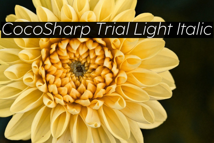 CocoSharp Trial Light Italic Example 2