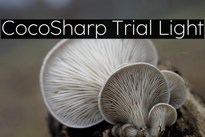 CocoSharp Trial Light Example 1