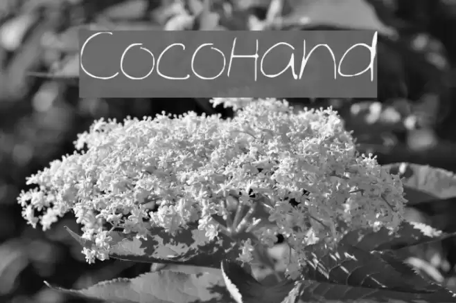 Coco_Hand Font examples
