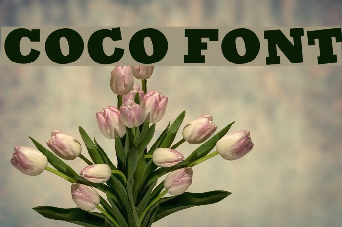 Coco font.