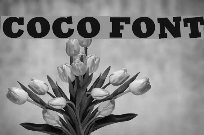 Coco Font examples