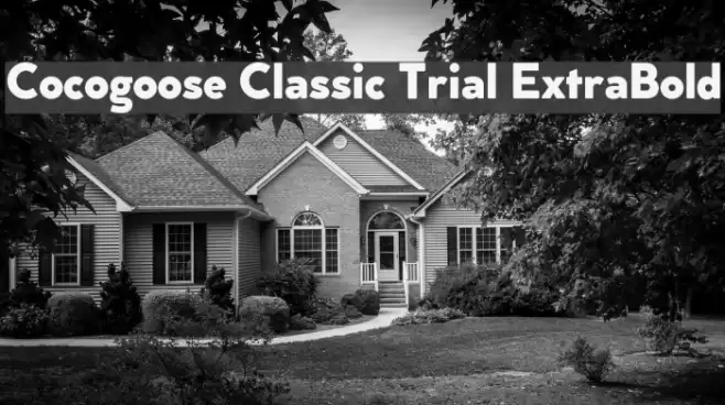 Cocogoose Classic Trial ExtraBold Font examples
