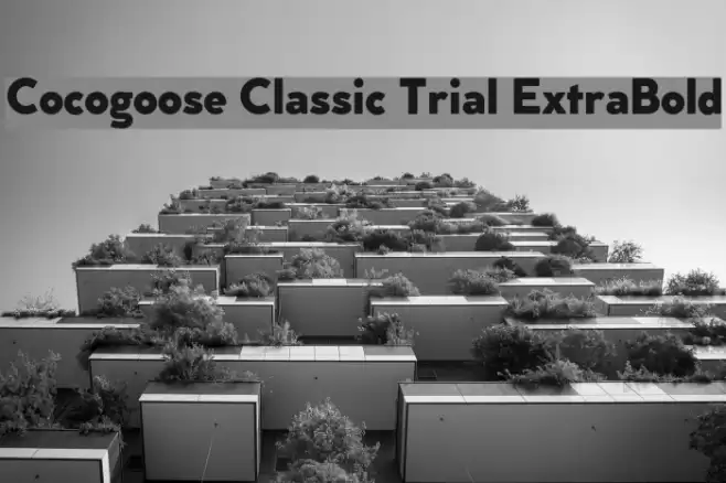 Cocogoose Classic Trial ExtraBold Font examples