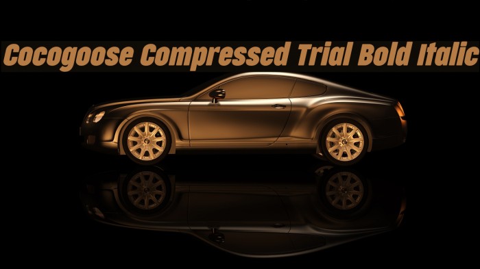 Cocogoose Compressed Trial Bold Italic Example 1