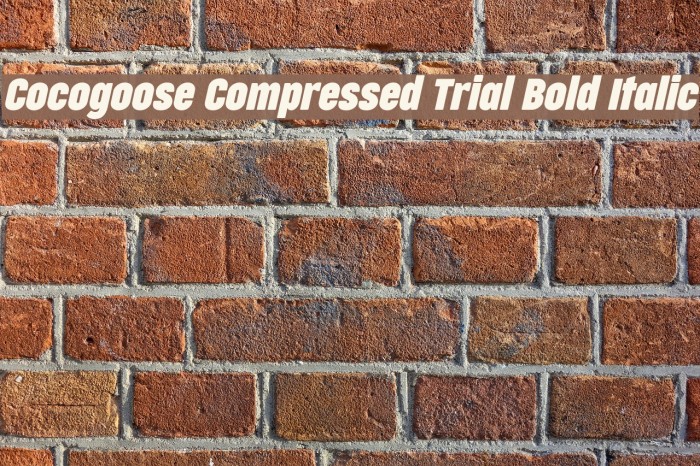 Cocogoose Compressed Trial Bold Italic Example 3