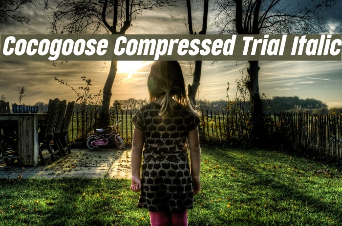 Cocogoose Compressed Trial Italic Schriftart examples