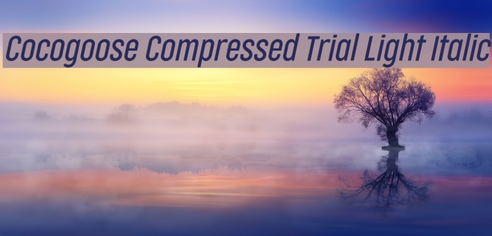 Cocogoose Compressed Trial Light Italic Schriftart examples