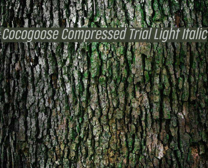 Cocogoose Compressed Trial Light Italic Schriftart examples