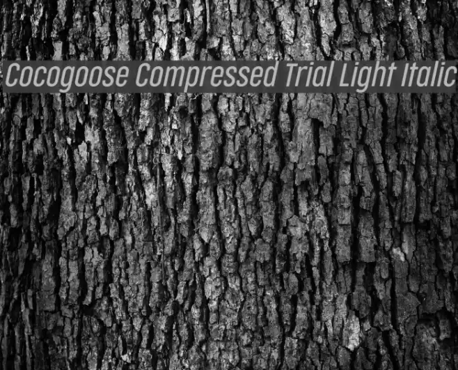 Cocogoose Compressed Trial Light Italic Font examples