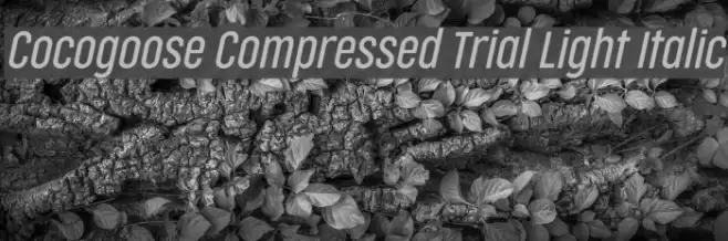 Cocogoose Compressed Trial Light Italic Font examples