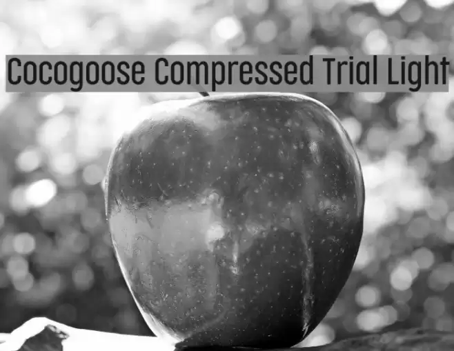 Cocogoose Compressed Trial Light Font examples