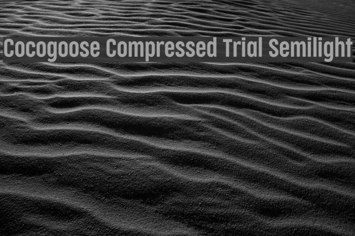 Cocogoose Compressed Trial Semilight Example 1