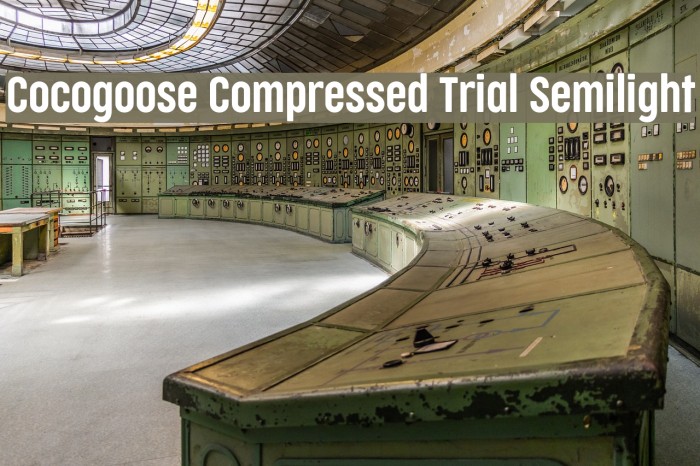 Cocogoose Compressed Trial Semilight Example 2