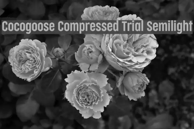 Cocogoose Compressed Trial Semilight Font examples