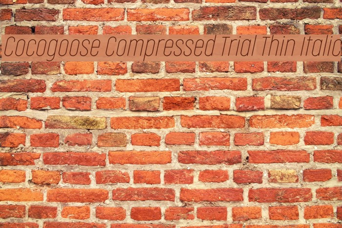 Cocogoose Compressed Trial Thin Italic Schriftart examples