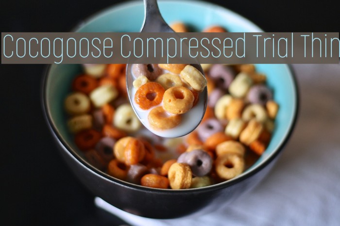 Cocogoose Compressed Trial Thin Font examples