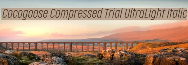 Cocogoose Compressed Trial UltraLight Italic Example 2