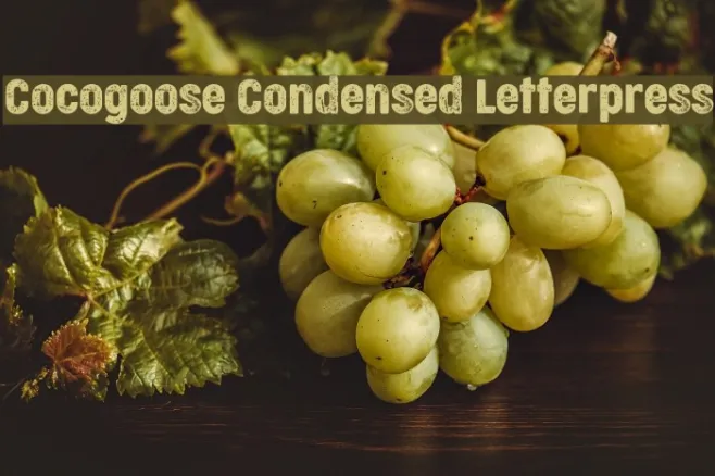Cocogoose Condensed Letterpress Example 1