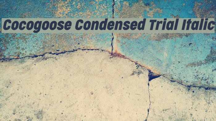 Cocogoose Condensed Trial Italic Font examples