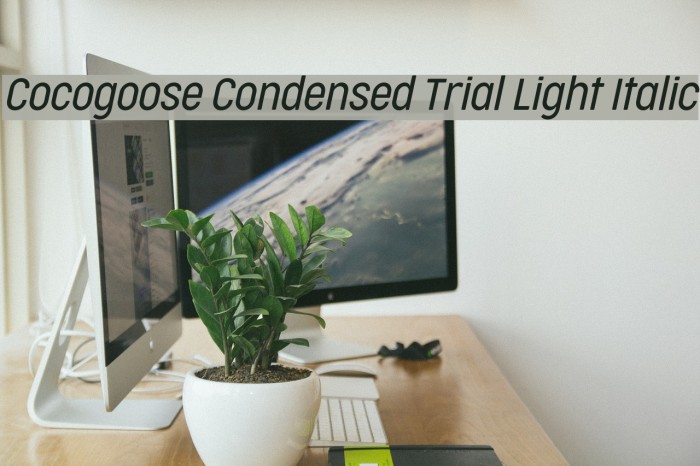 Cocogoose Condensed Trial Light Italic Font examples