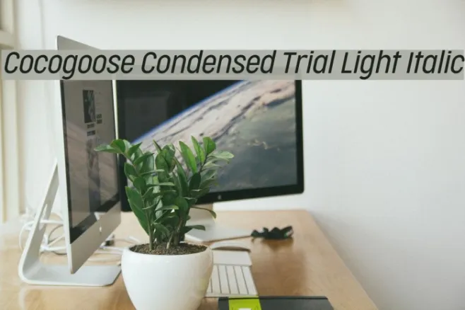 Cocogoose Condensed Trial Light Italic Example 1