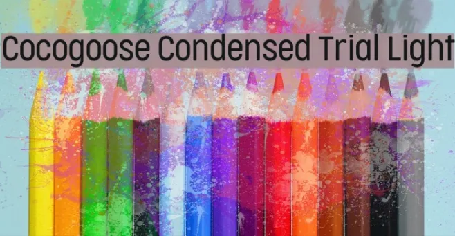 Cocogoose Condensed Trial Light Example 1