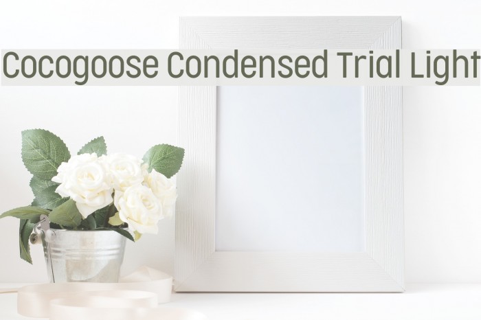 Cocogoose Condensed Trial Light Font examples