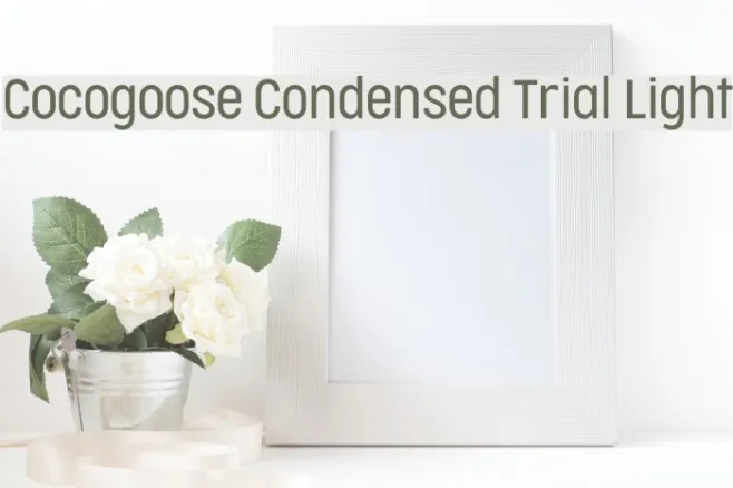 Cocogoose Condensed Trial Light Example 3