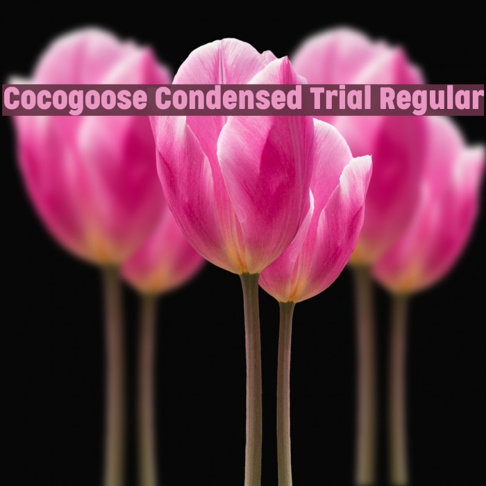 Cocogoose Condensed Trial Regular Font examples