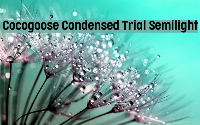 Cocogoose Condensed Trial Semilight Font examples