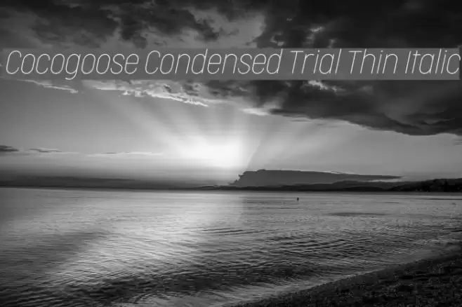 Cocogoose Condensed Trial Thin Italic Font examples