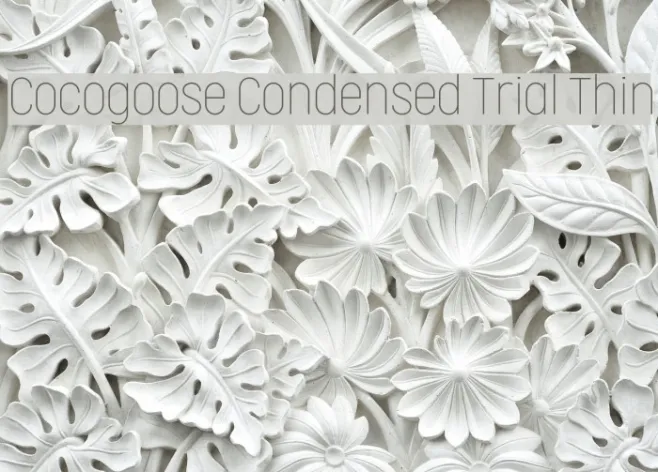 Cocogoose Condensed Trial Thin Example 1