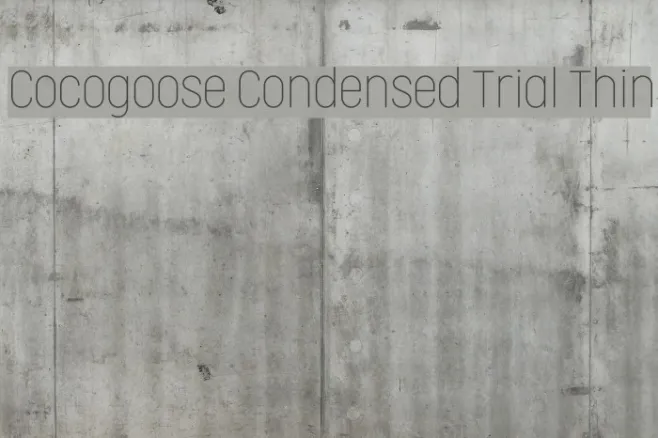 Cocogoose Condensed Trial Thin Example 2