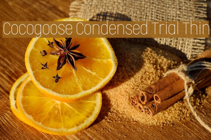 Cocogoose Condensed Trial Thin Font examples