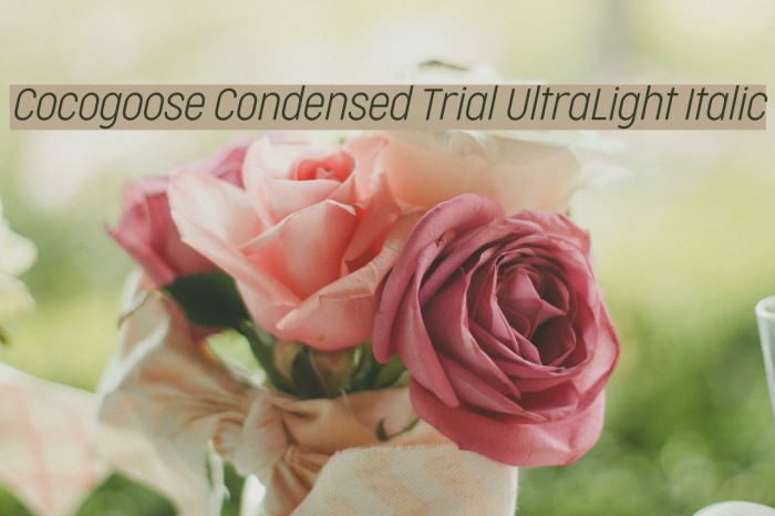 Cocogoose Condensed Trial UltraLight Italic Font examples
