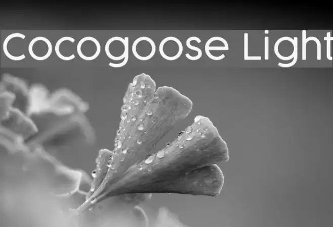 Cocogoose Light Font examples