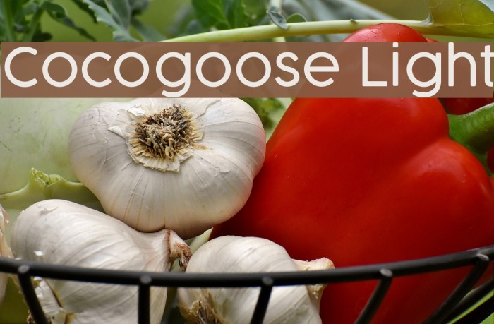 Cocogoose Light Font examples