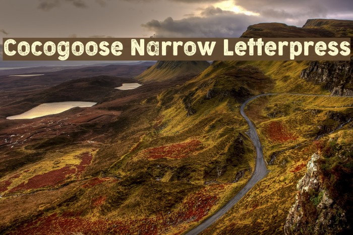 Cocogoose Narrow Letterpress Example 1