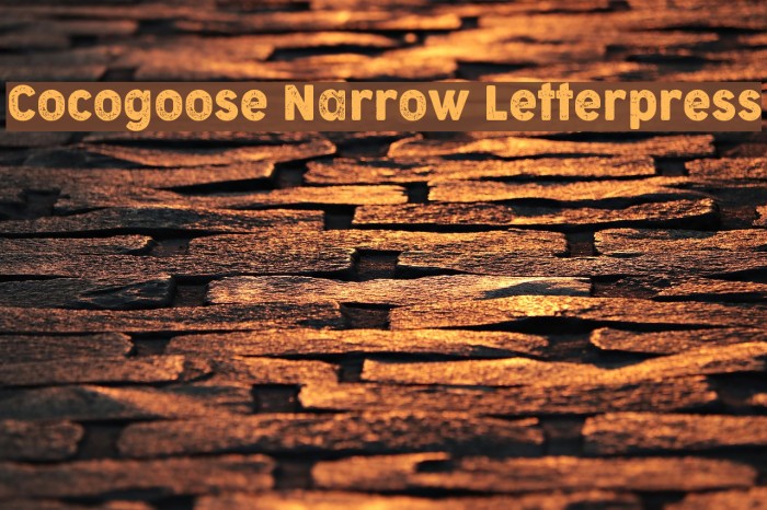 Cocogoose Narrow Letterpress Example 2