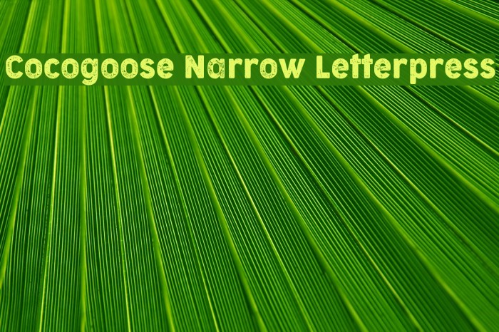 Cocogoose Narrow Letterpress Example 3
