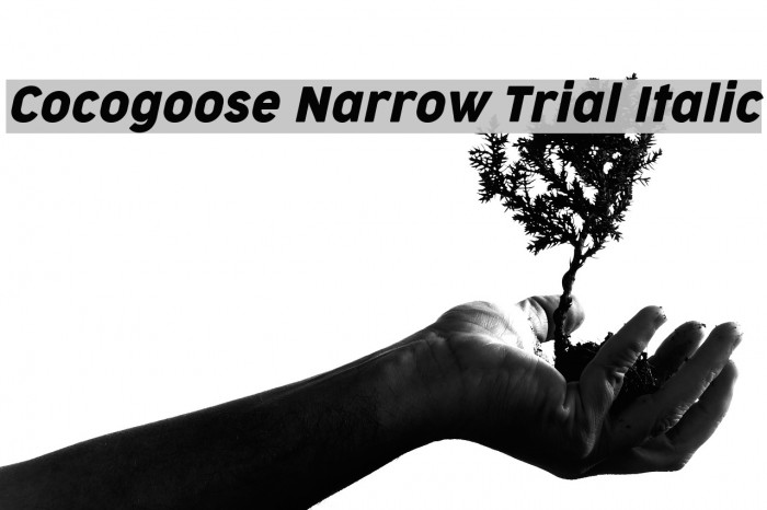 Cocogoose Narrow Trial Italic Font examples