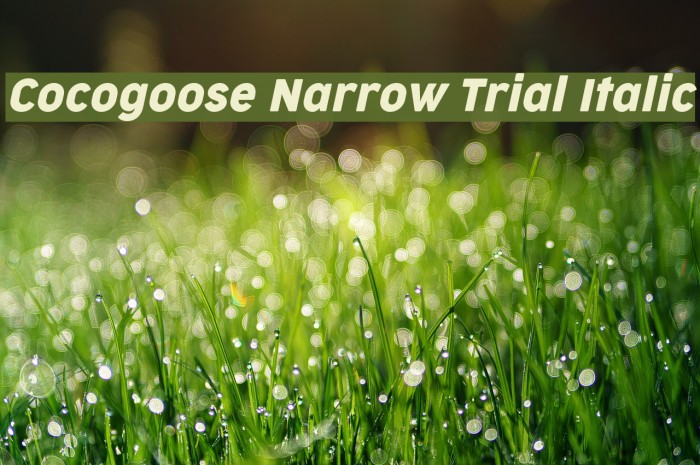 Cocogoose Narrow Trial Italic Font examples